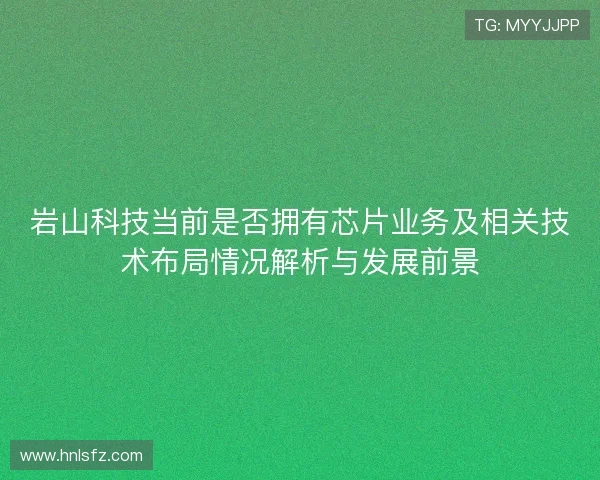 岩山科技当前是否拥有芯片业务及相关技术布局情况解析与发展前景